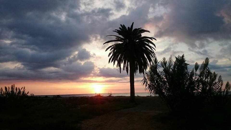 Mediterrania Marina Sagunto Buitenkant foto
